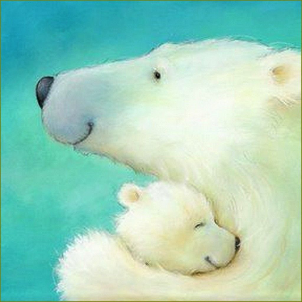 Alison Edgson illustrations