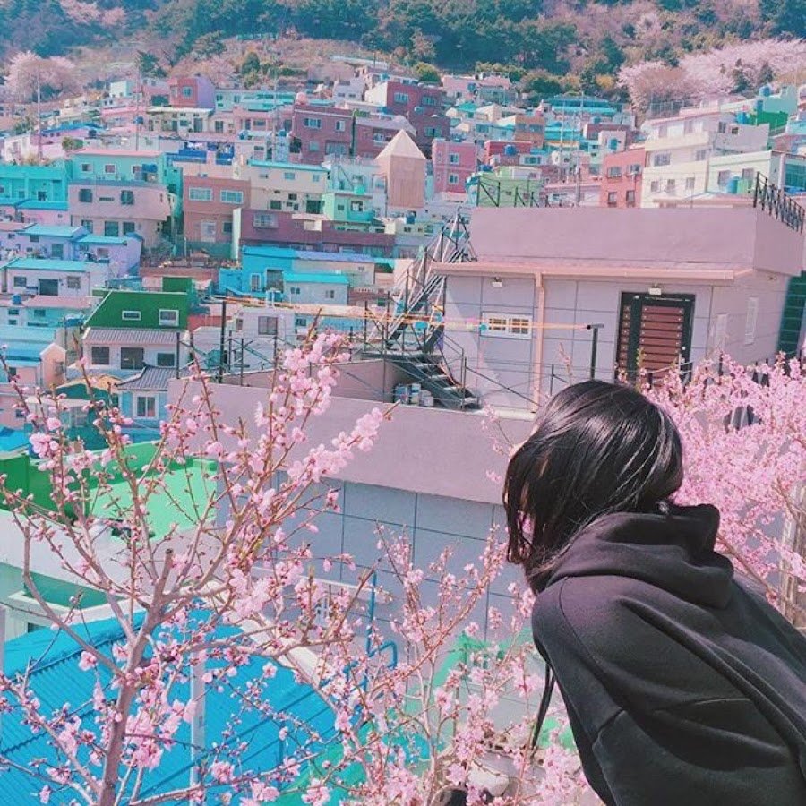 Корея Южная Эстетика корейцев