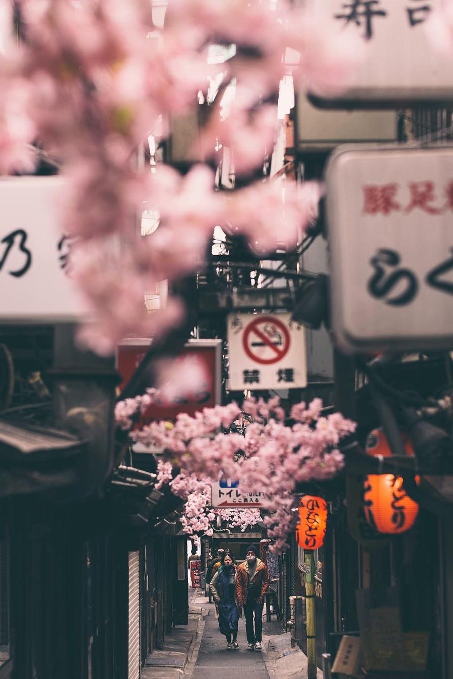 Тумблер Эстетика Япония