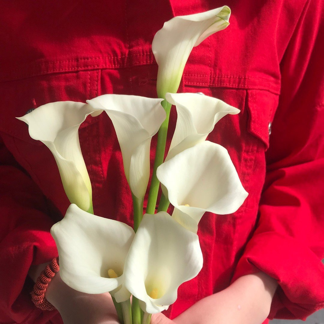 Калла Сайгон