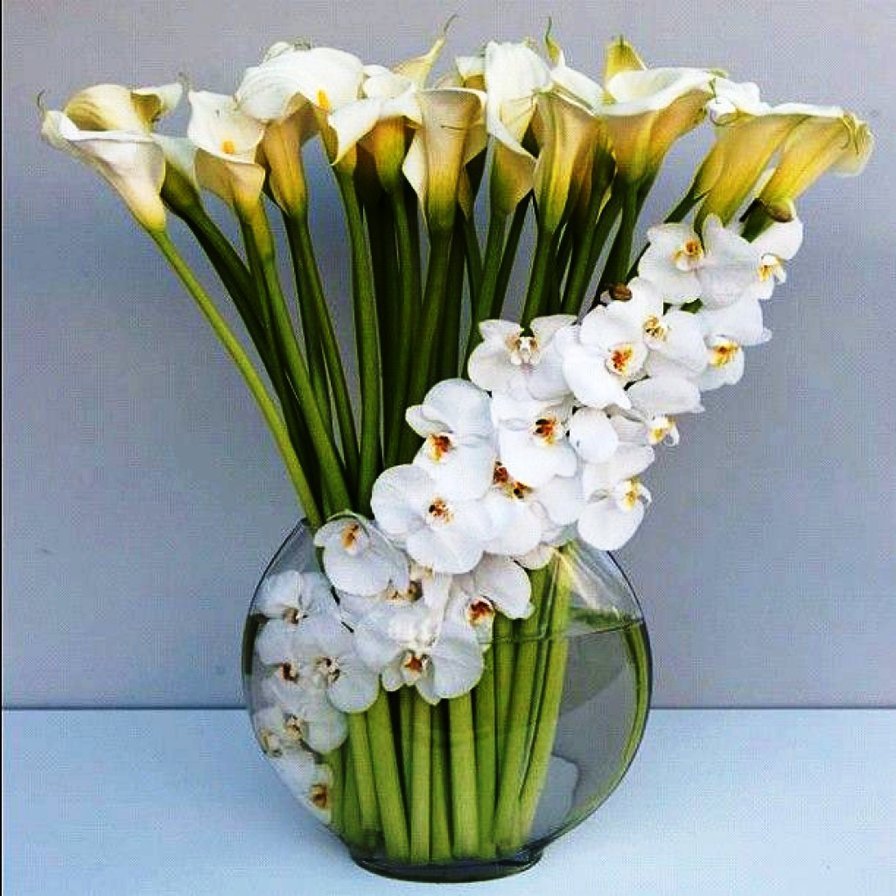 Цветы рентген