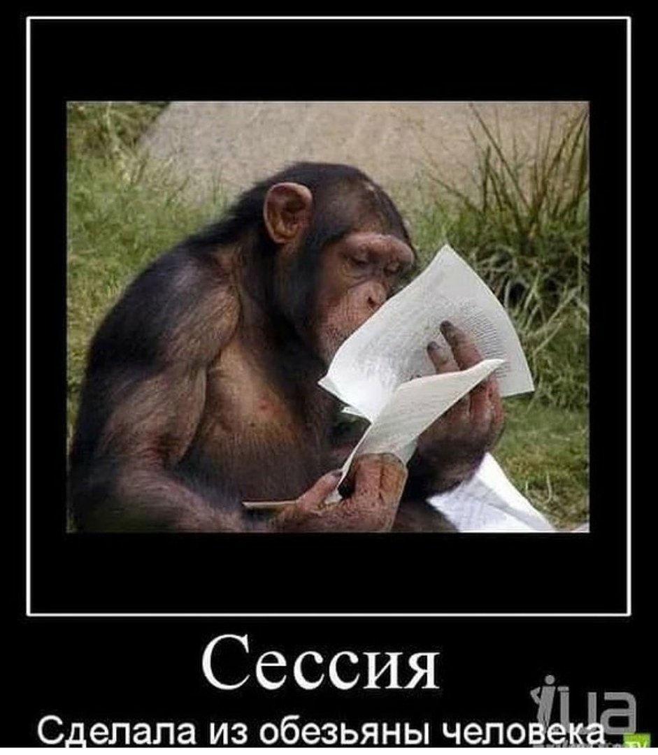 Демотиваторы про обезьян ржачные