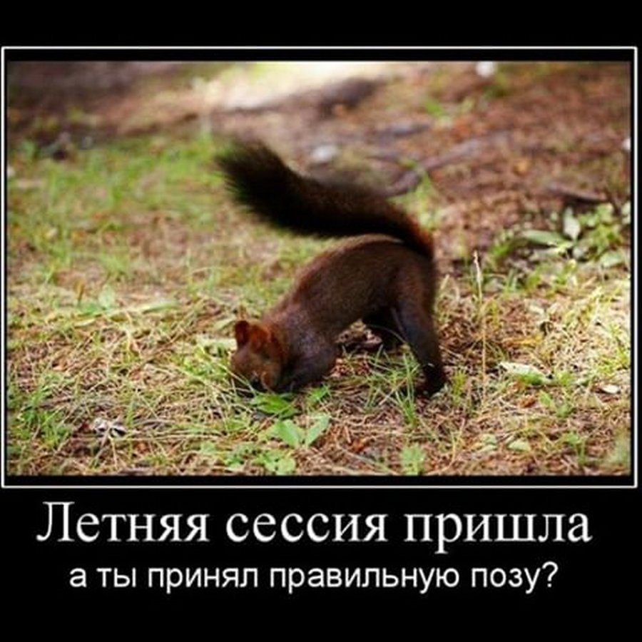 Идеи для учебы