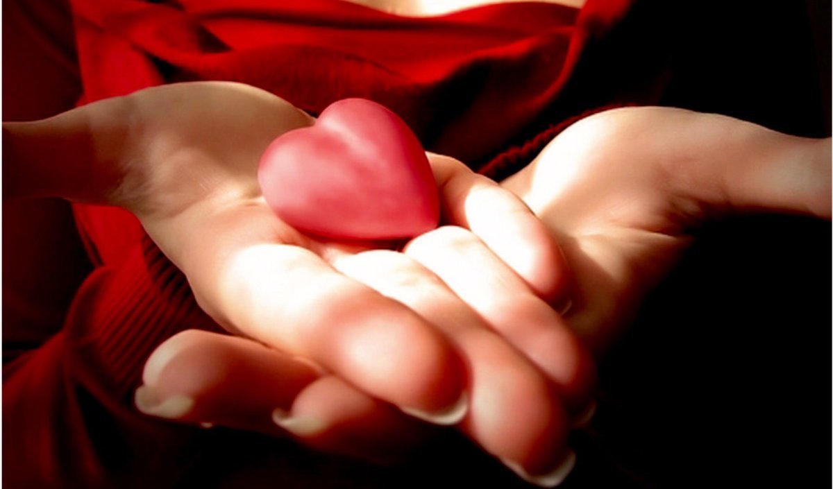 Сердце в ладошках