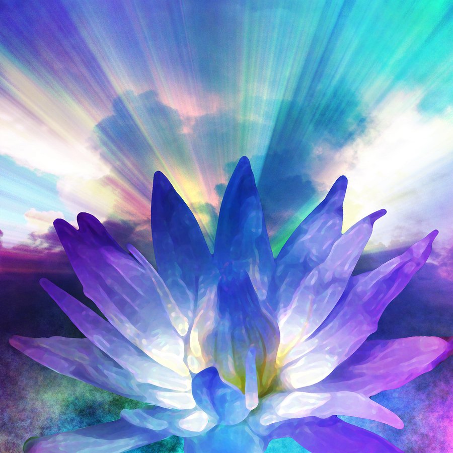 Лотос тысячелепестковый медитация