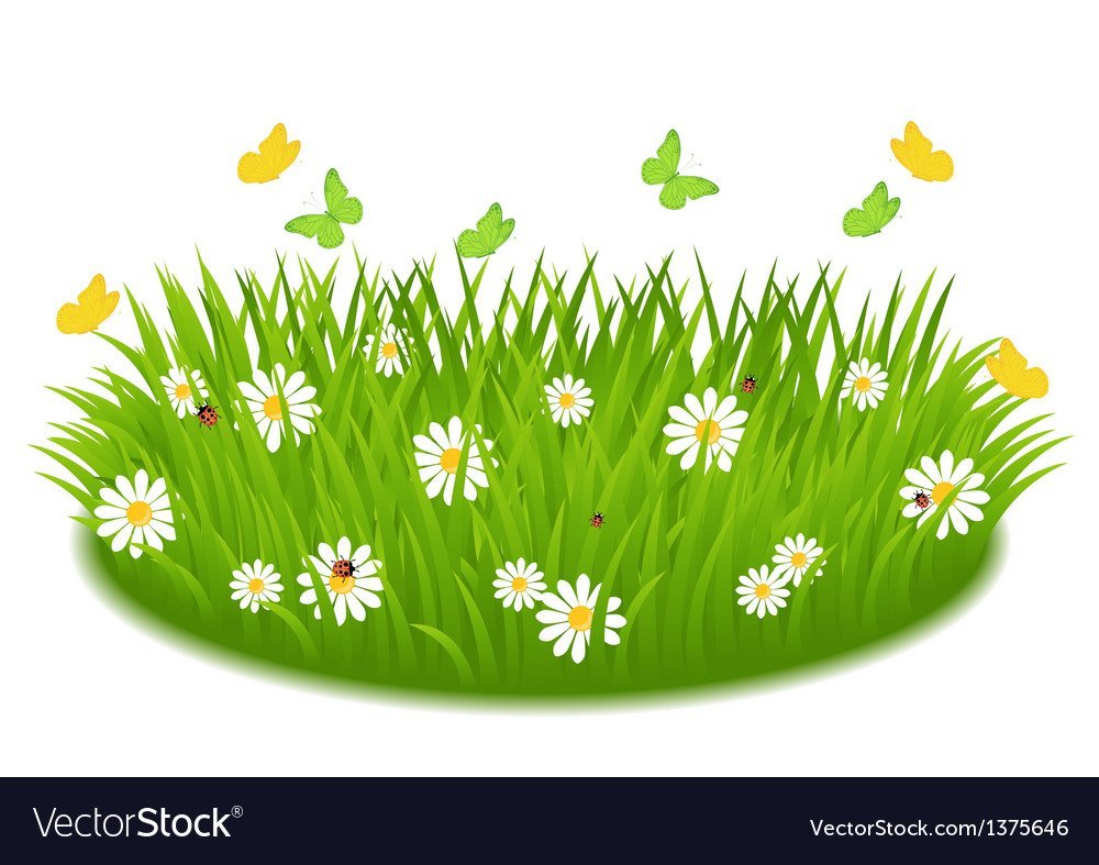 Сказочная трава