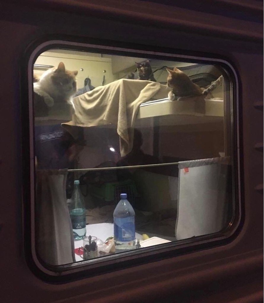 Счастливого пути!