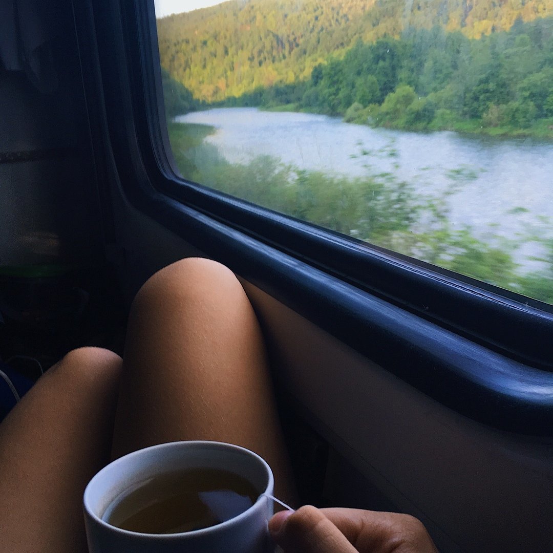 Кот едет в поезде