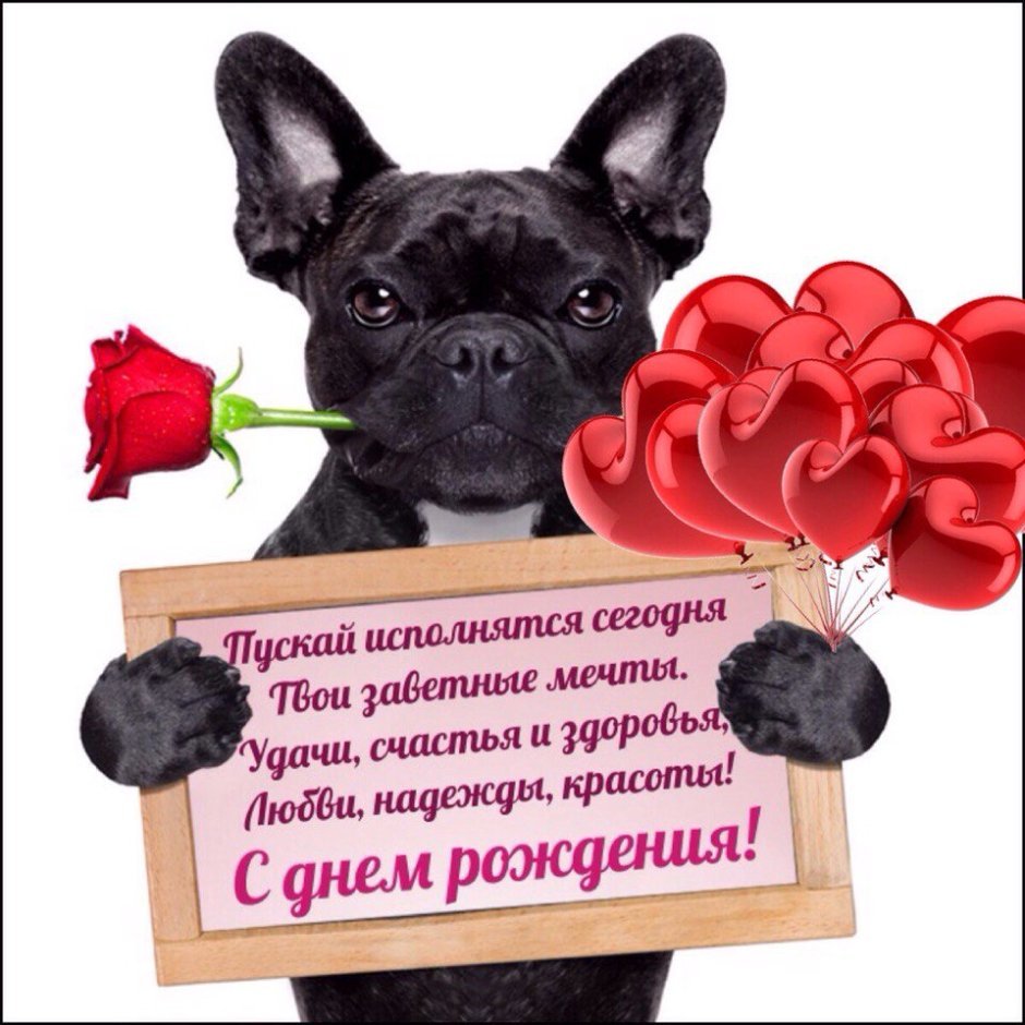 Поздравить Веронику с днем рождения