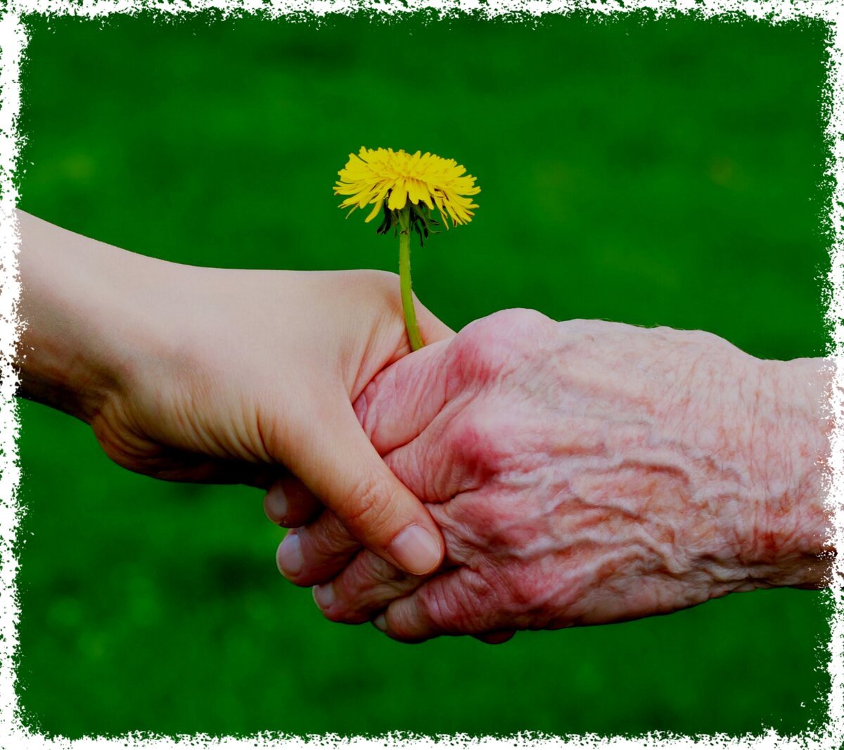 Уважение к старшим