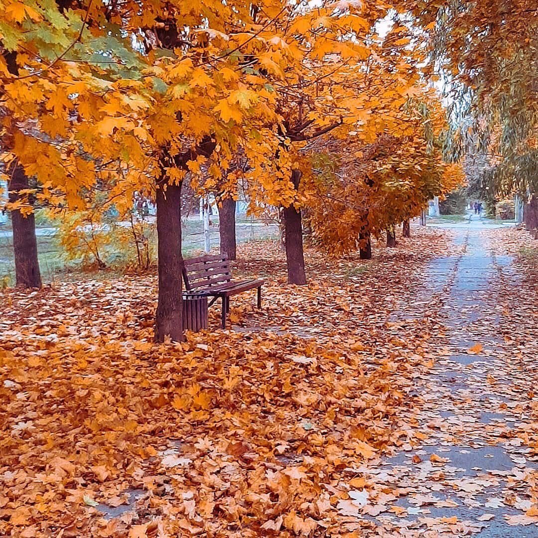 Осень листопад