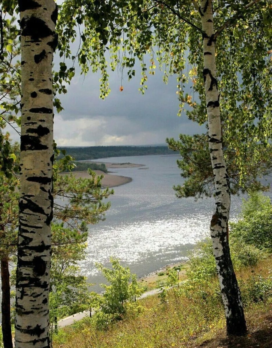 Россия Березка Россия Березка Березка Березка