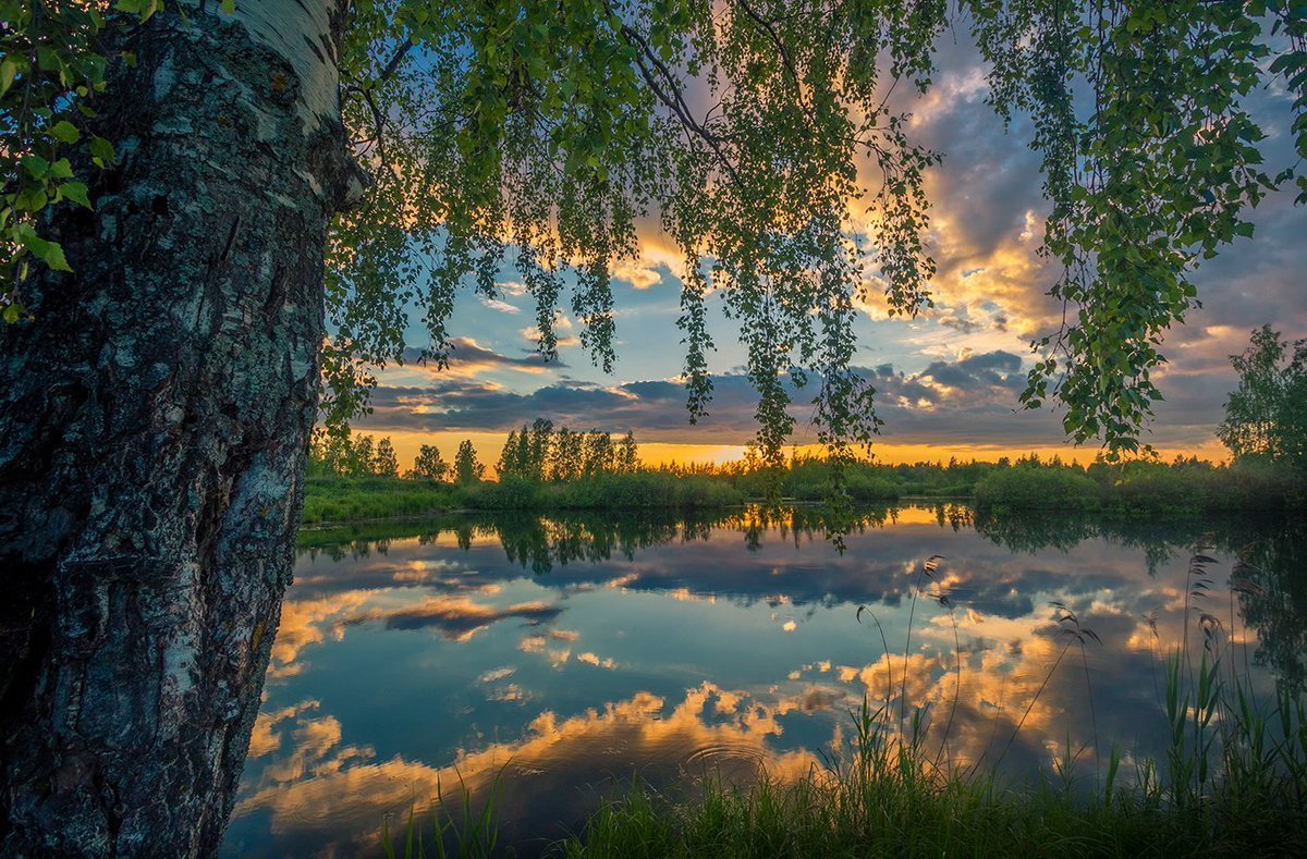 Русская природа вечер