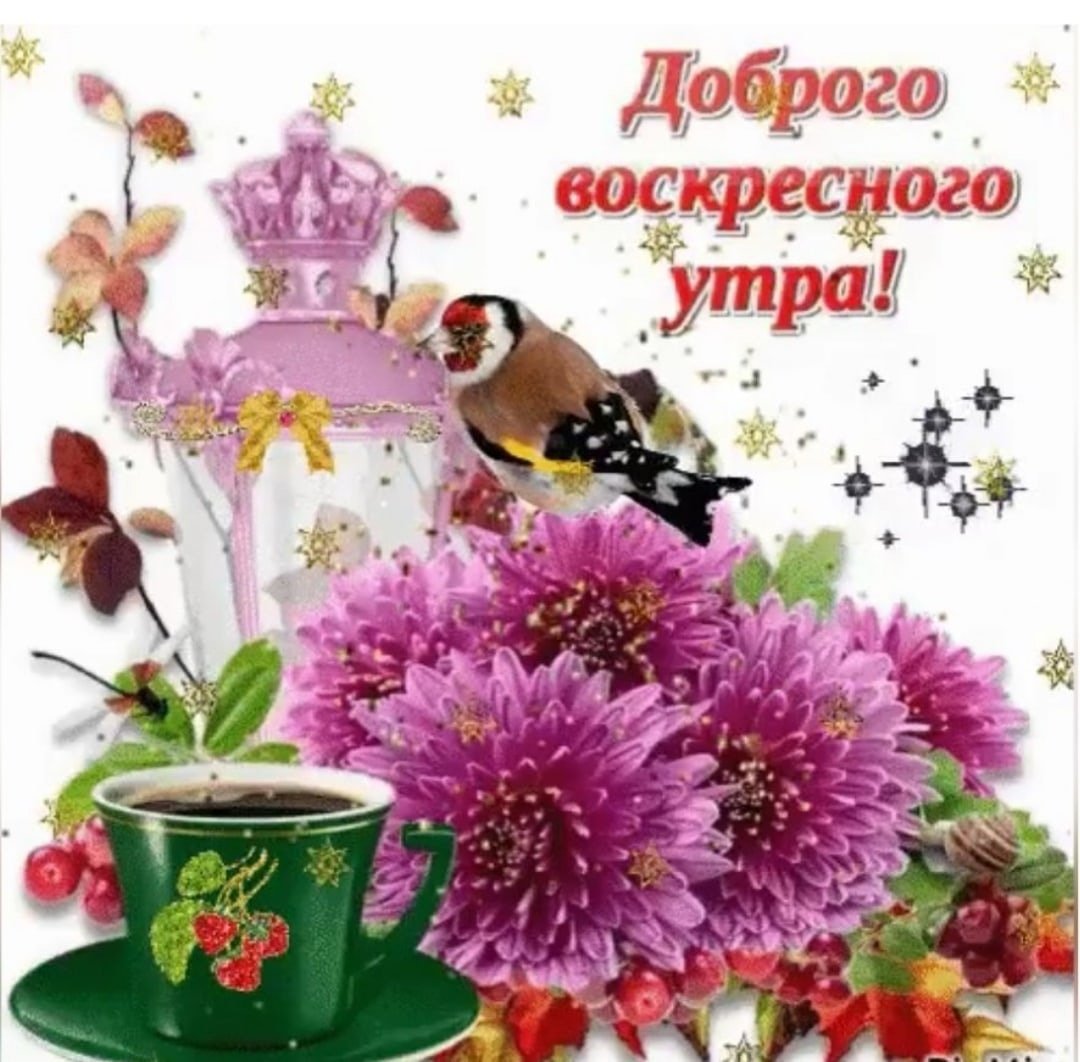 Доброе Воскресное у РО