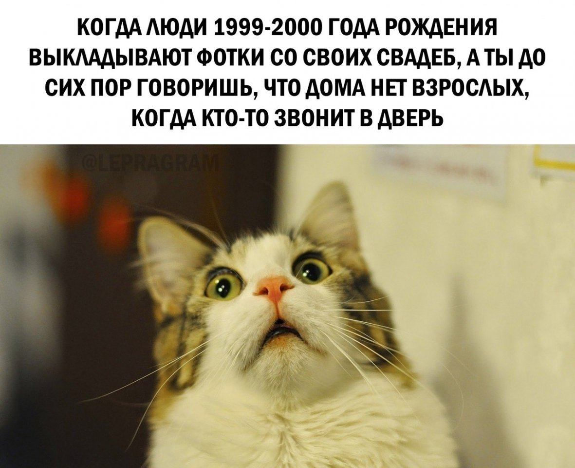 Когда домой картинки прикольные с надписями