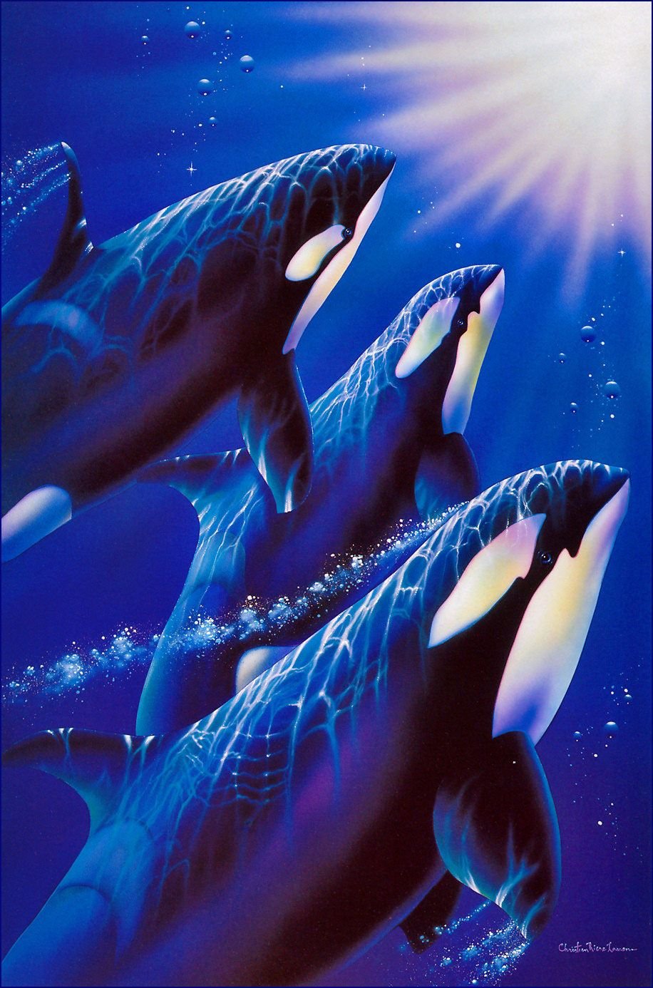 Киты и дельфины