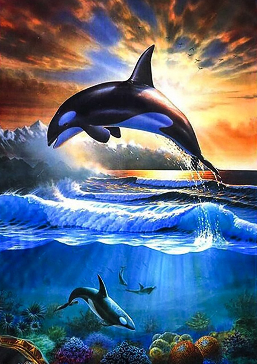 Касатка кит убийца