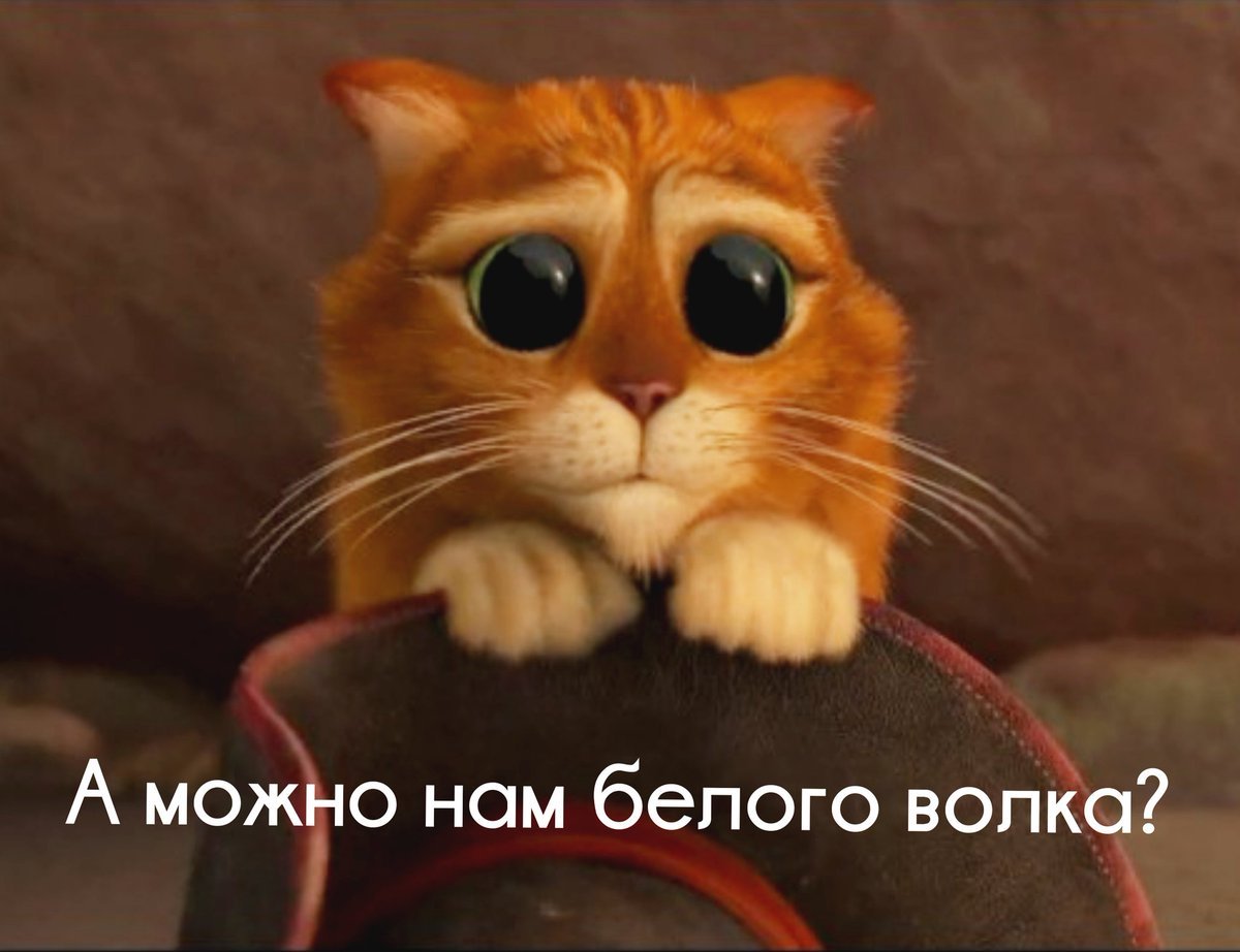 Кот Шрек глаза