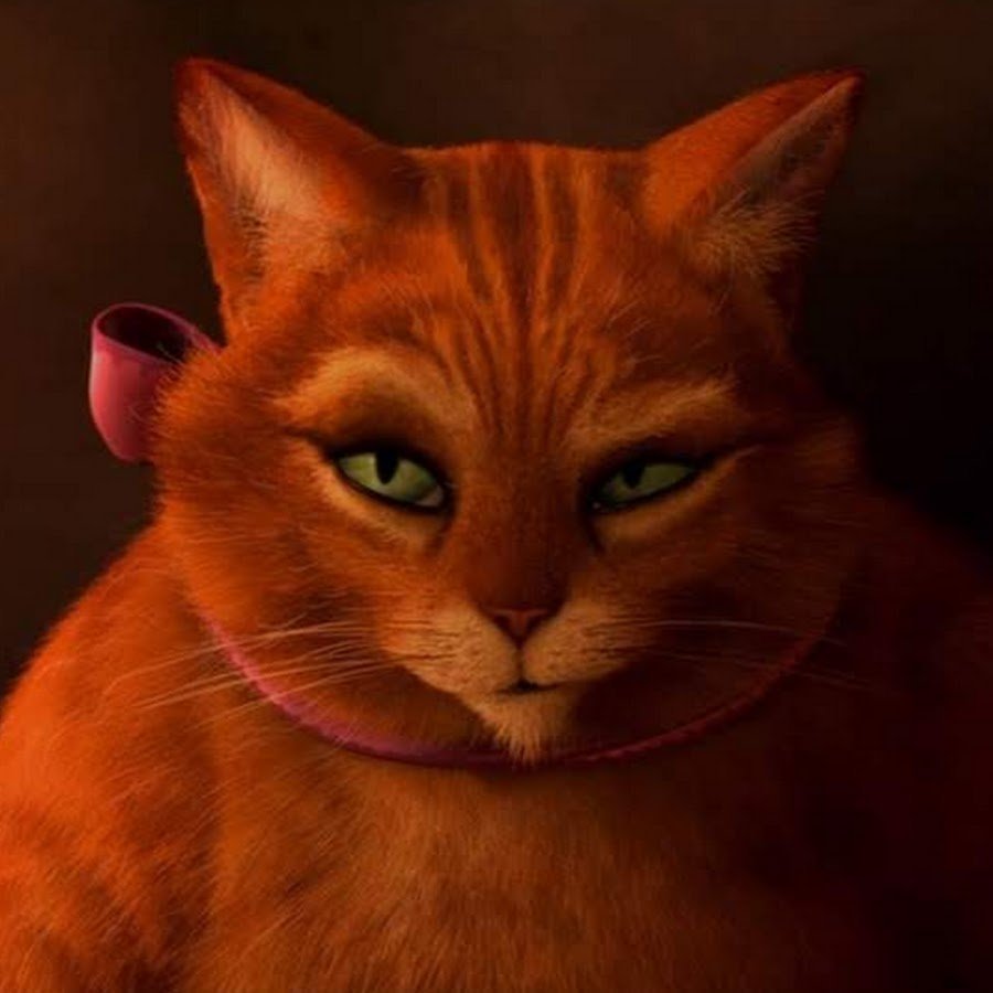 Шрек кот глаза картинки