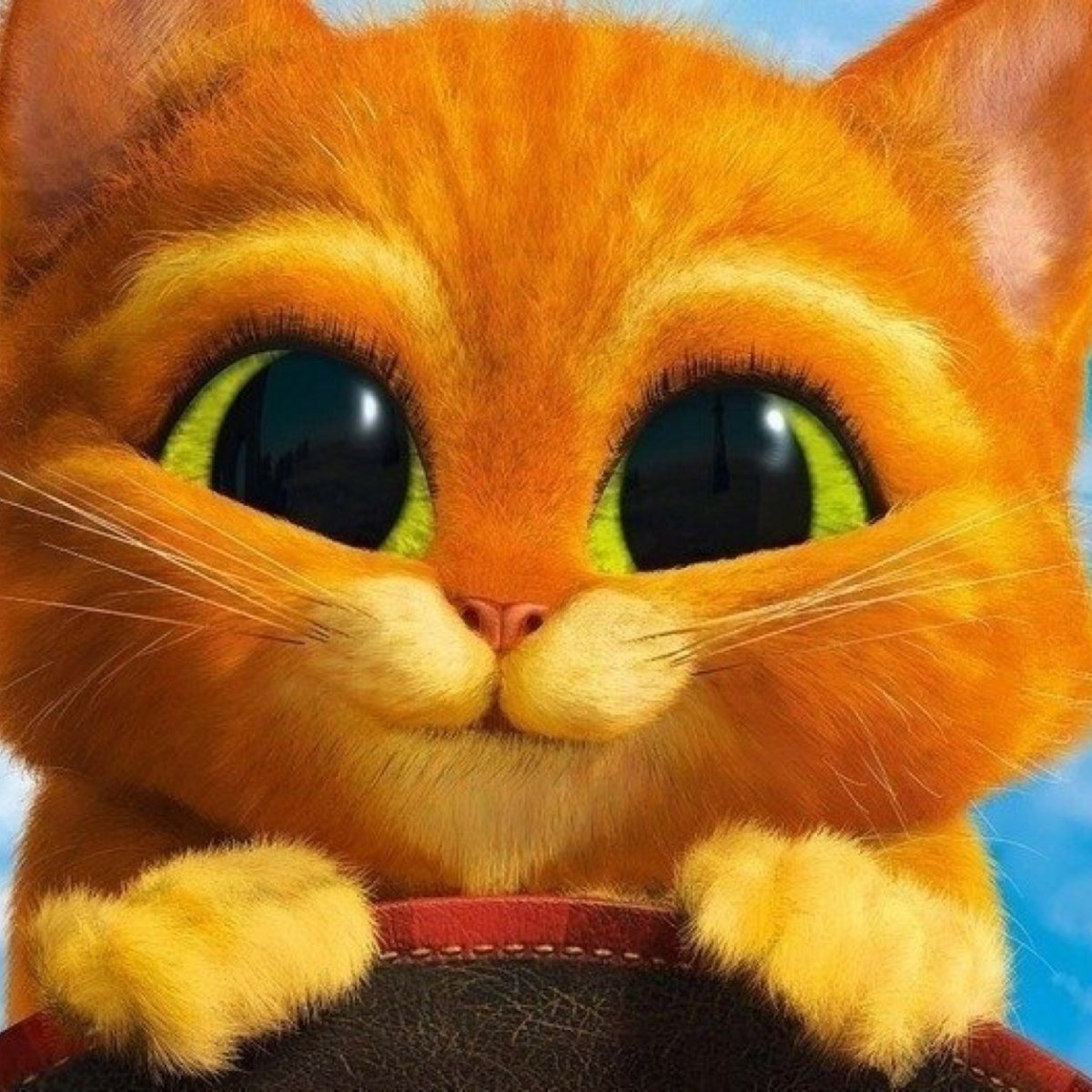 Кот из мультфильма Шрек