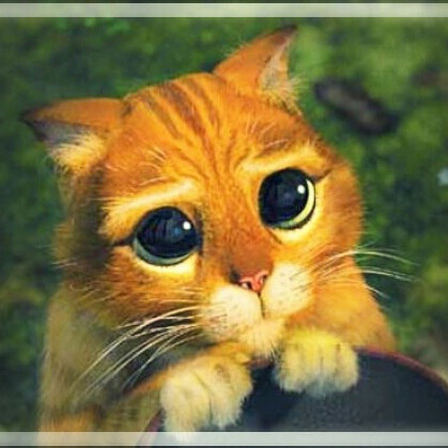 Шрек 2 кот в сапогах