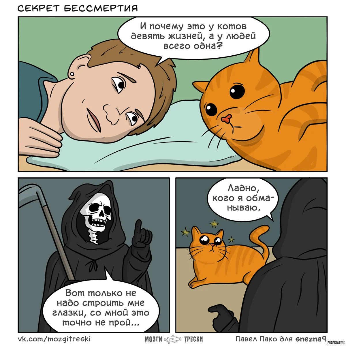 Мемы с кошками