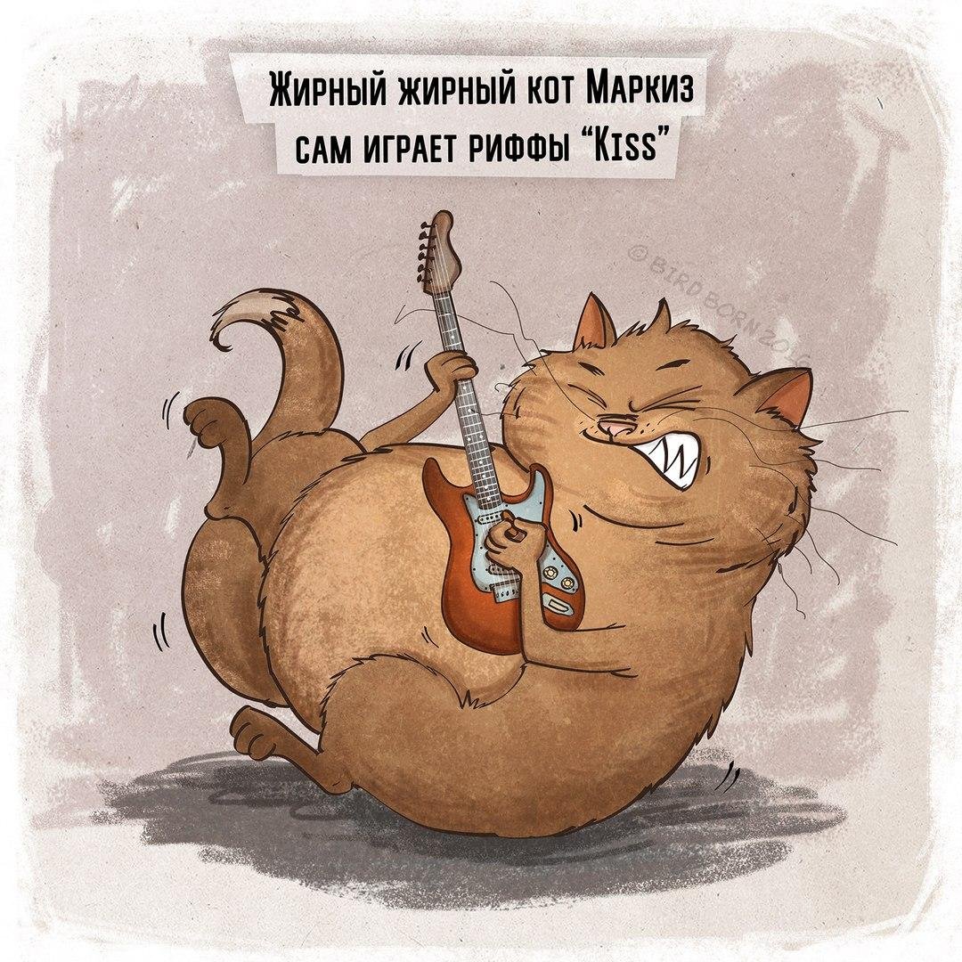 Толстый кот юмор