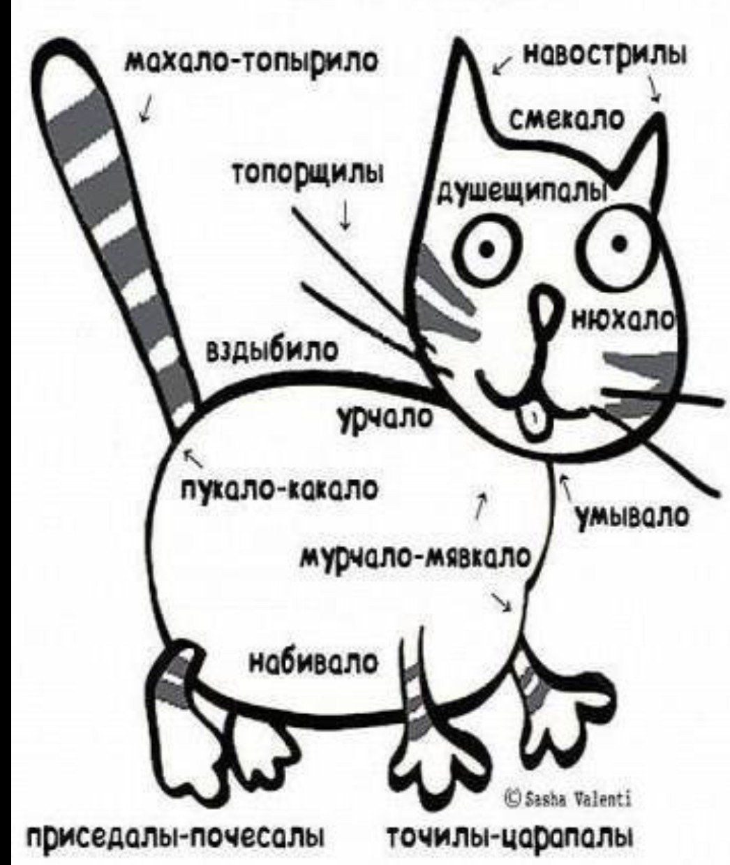 Приколы картинки с описанием