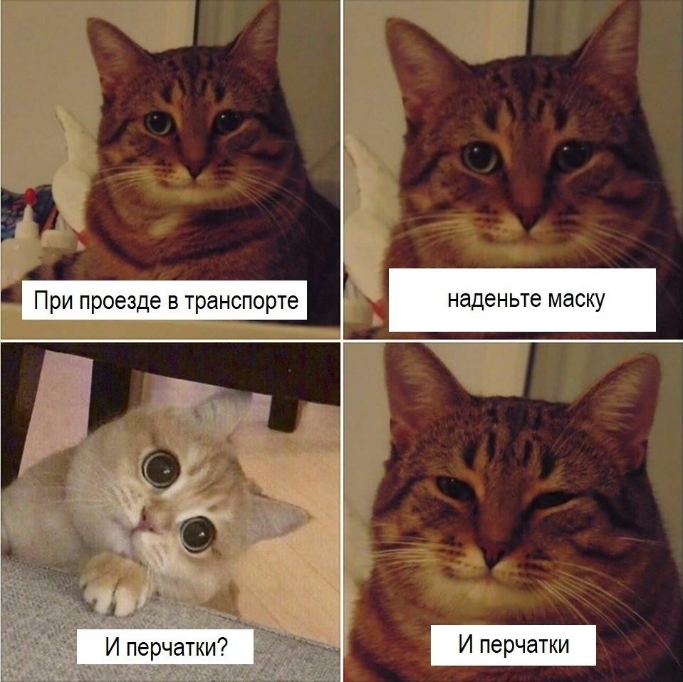 Комиксы про животных