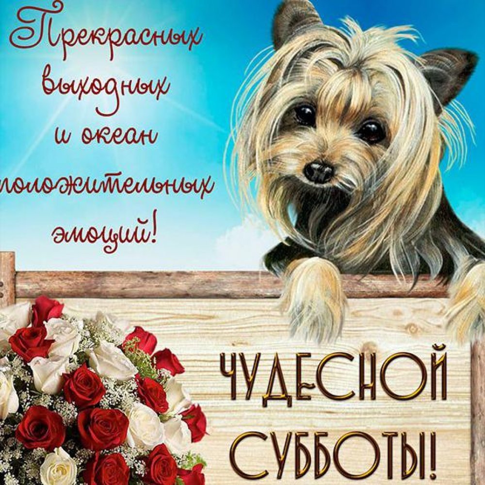 Пожелания на субботу