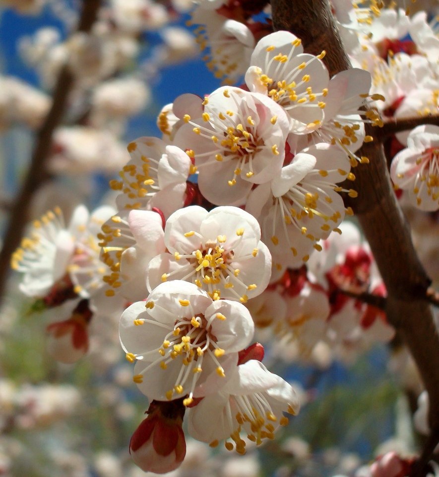 Добрые пожелания в новом дне