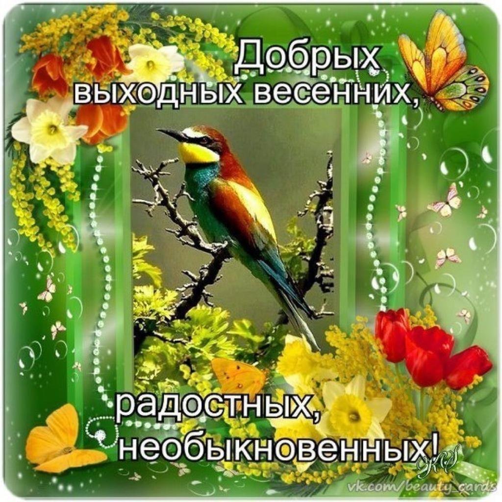 Весеннее настроение цветы