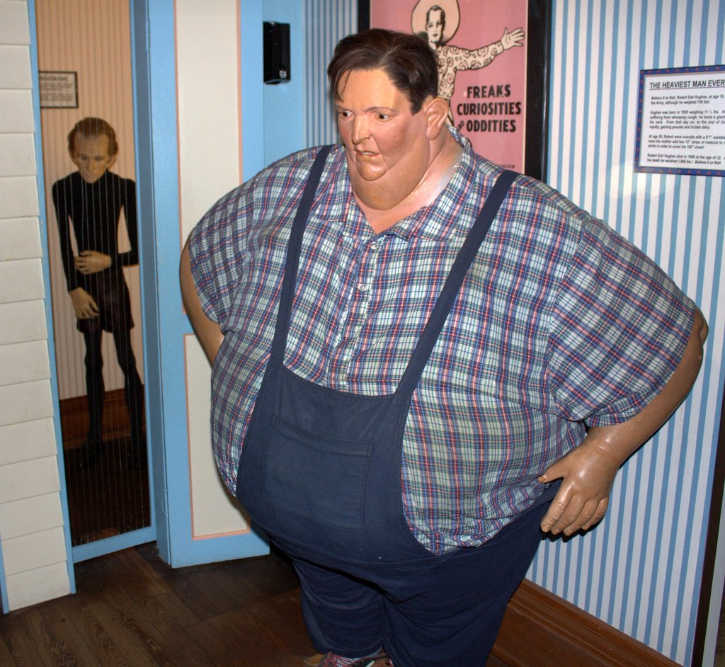 Джон Брауэр Миннок вес