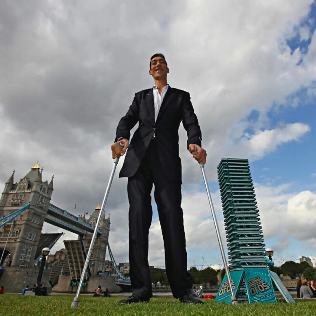 Султан кёсен 2018