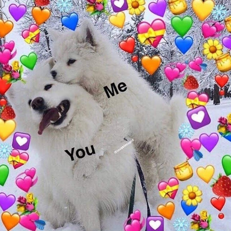 Милая собачка с сердечком