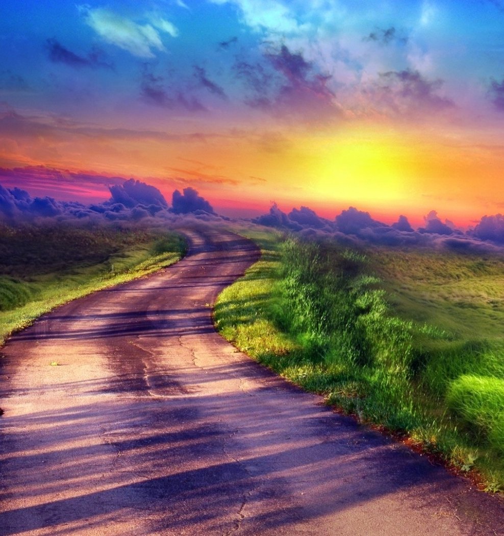 Яркая дорога