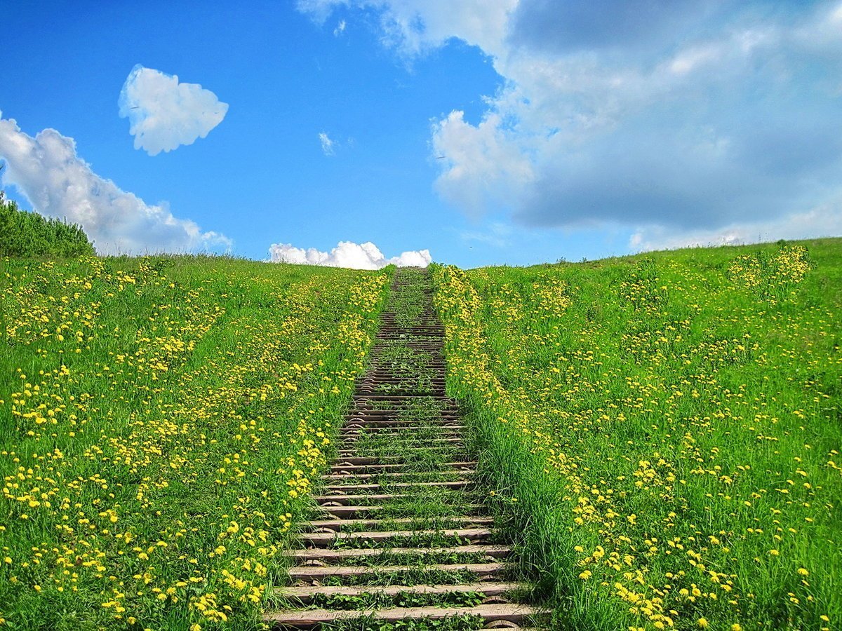 Лестница вверх природа