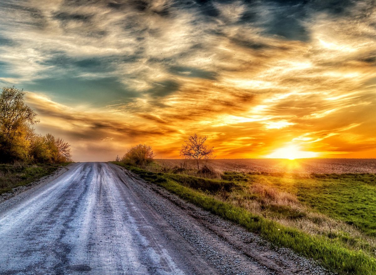 Красивый пейзаж с дорогой