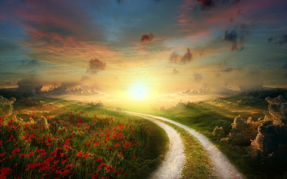 Солнце на дороге