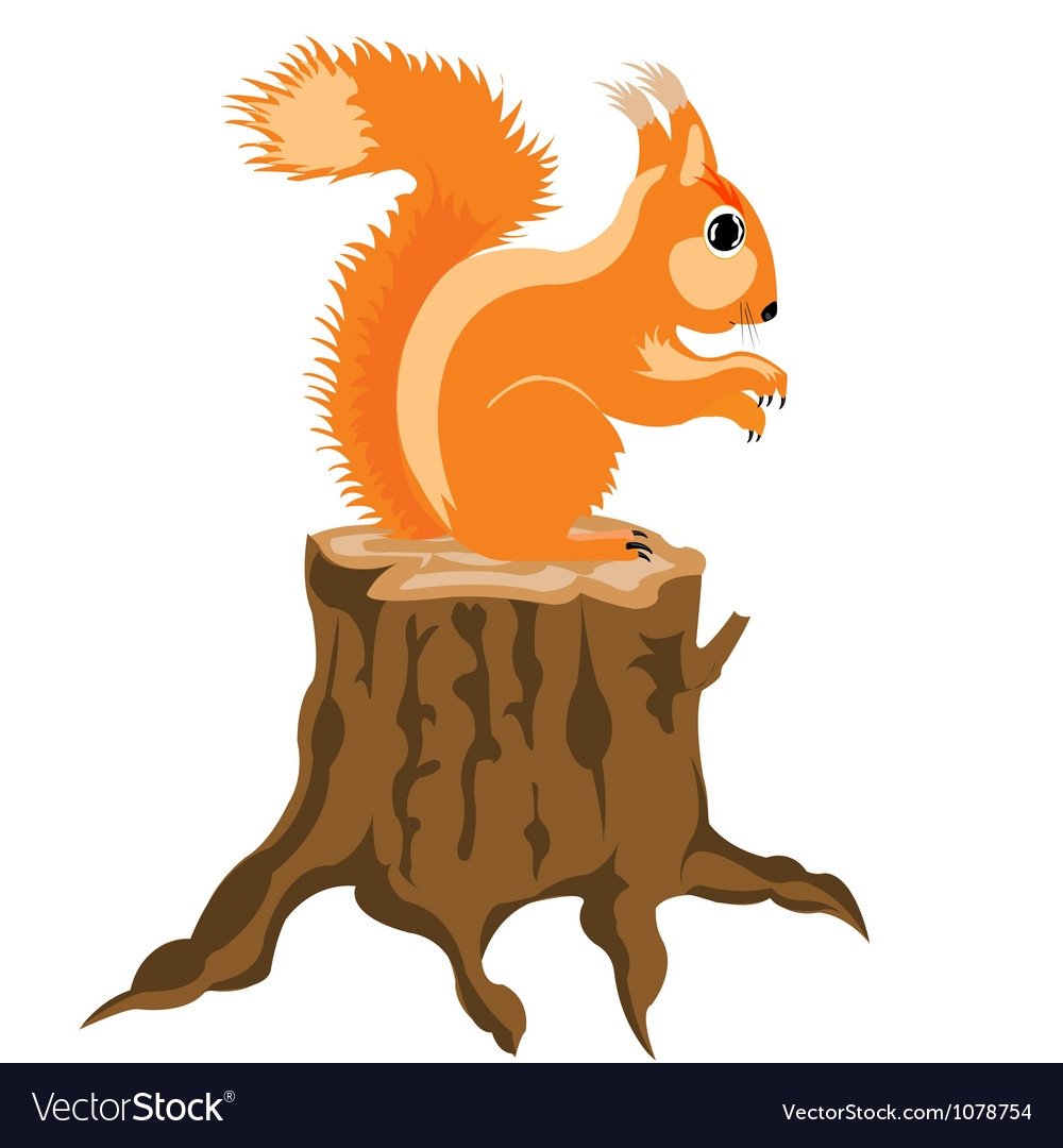 Белка сидит на пеньке