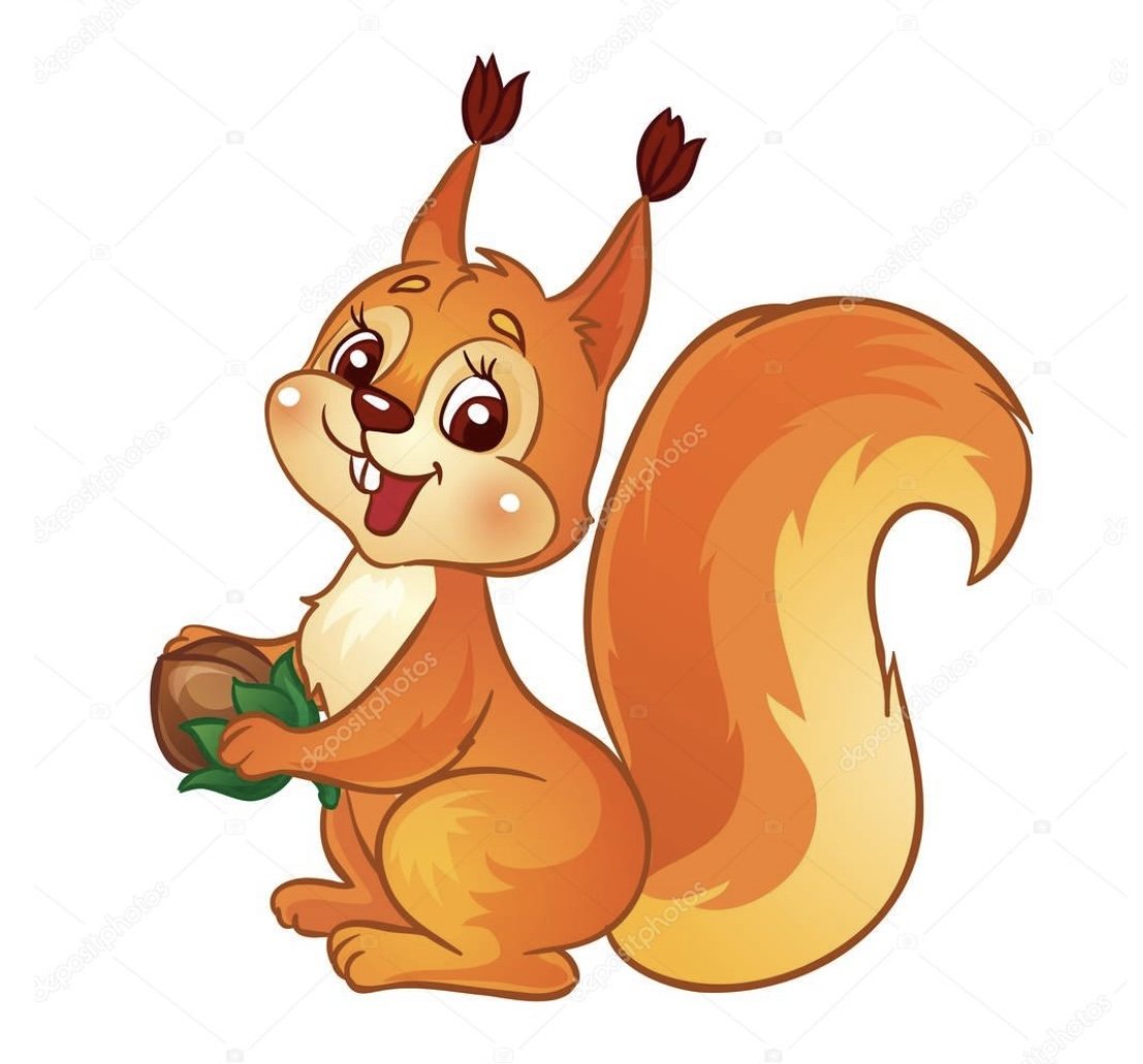 Белка для детского сада