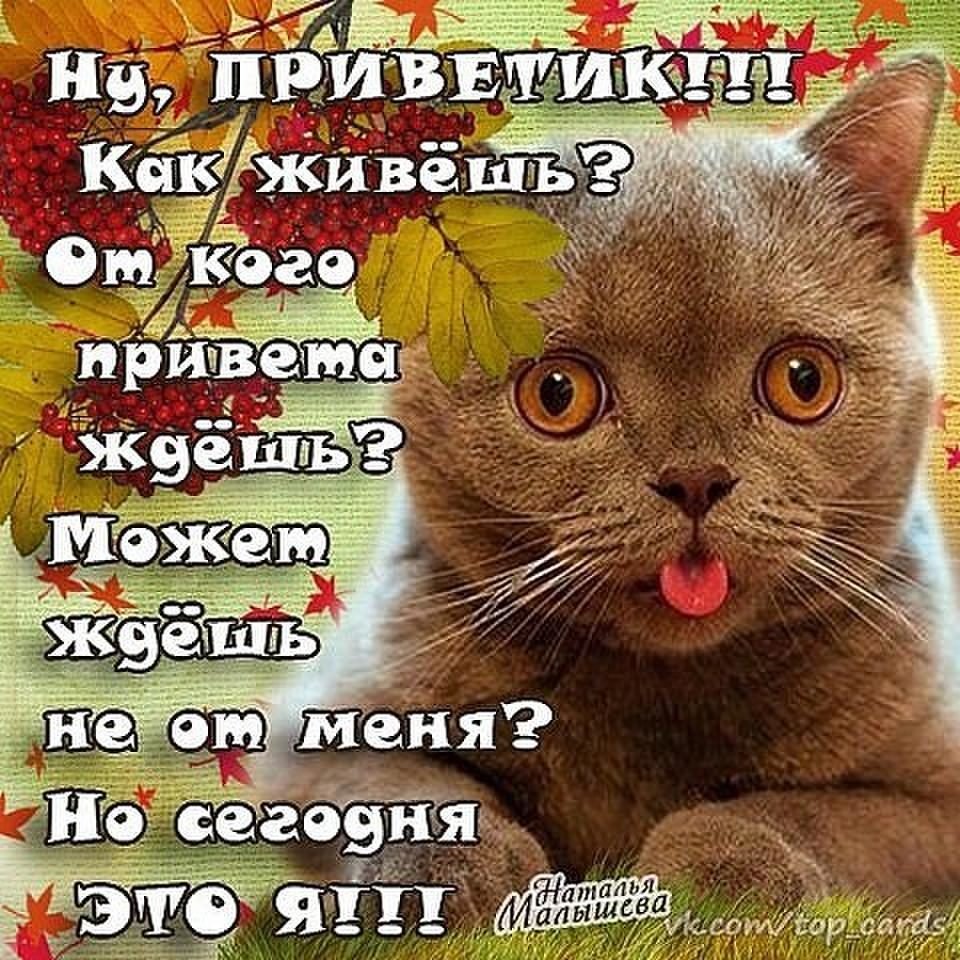 Открытки как дела