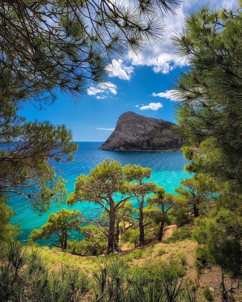 Новый свет Севастополь