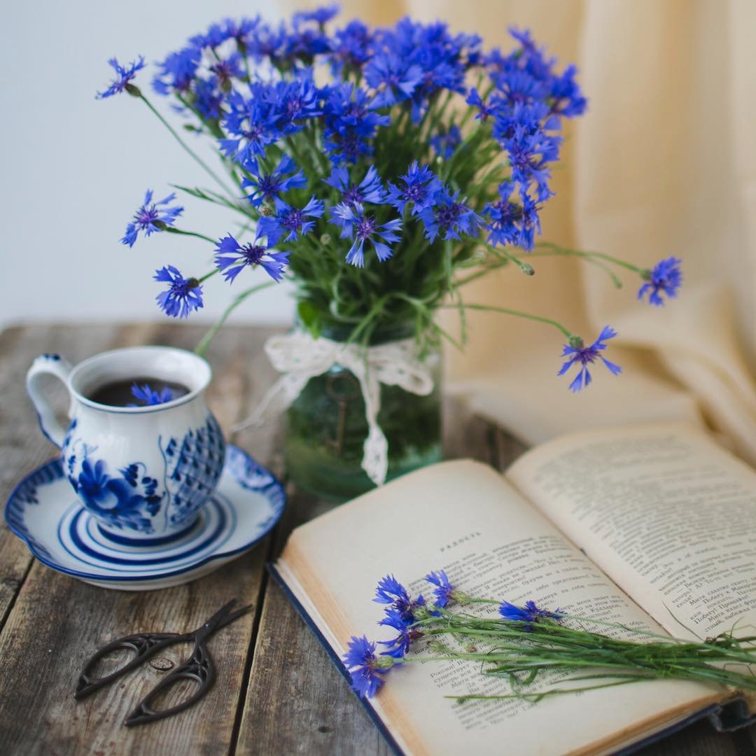 Нежные васильки