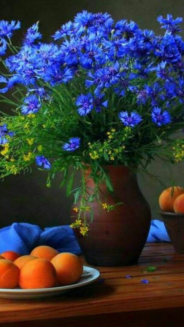 Фотонатюрморты с цветами