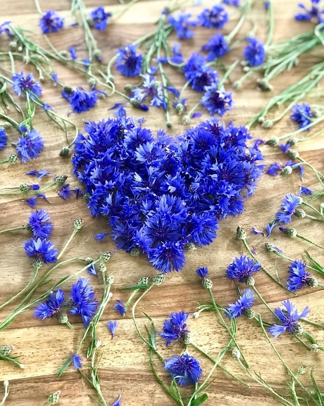 Добрые пожелания с васильками