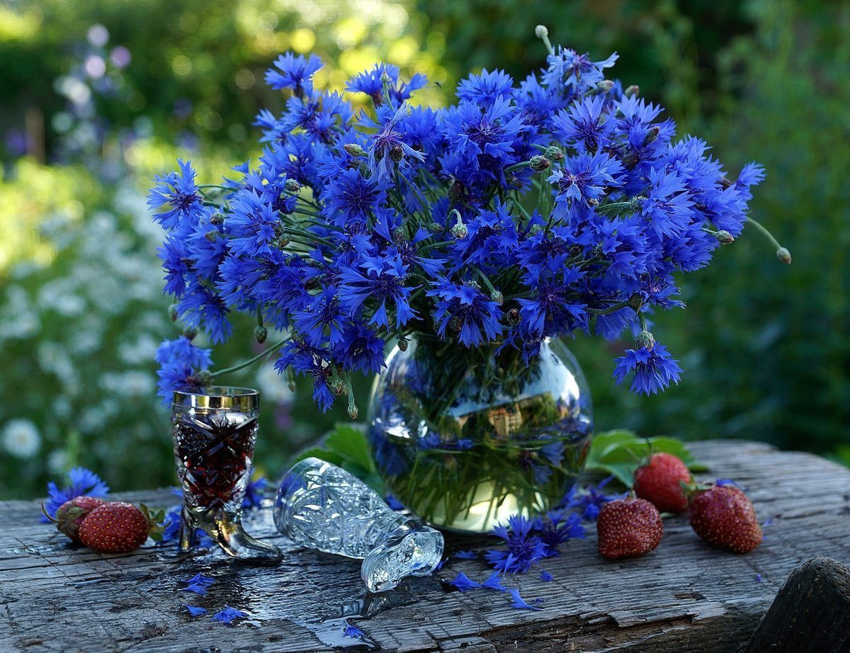 Васильки в вазе