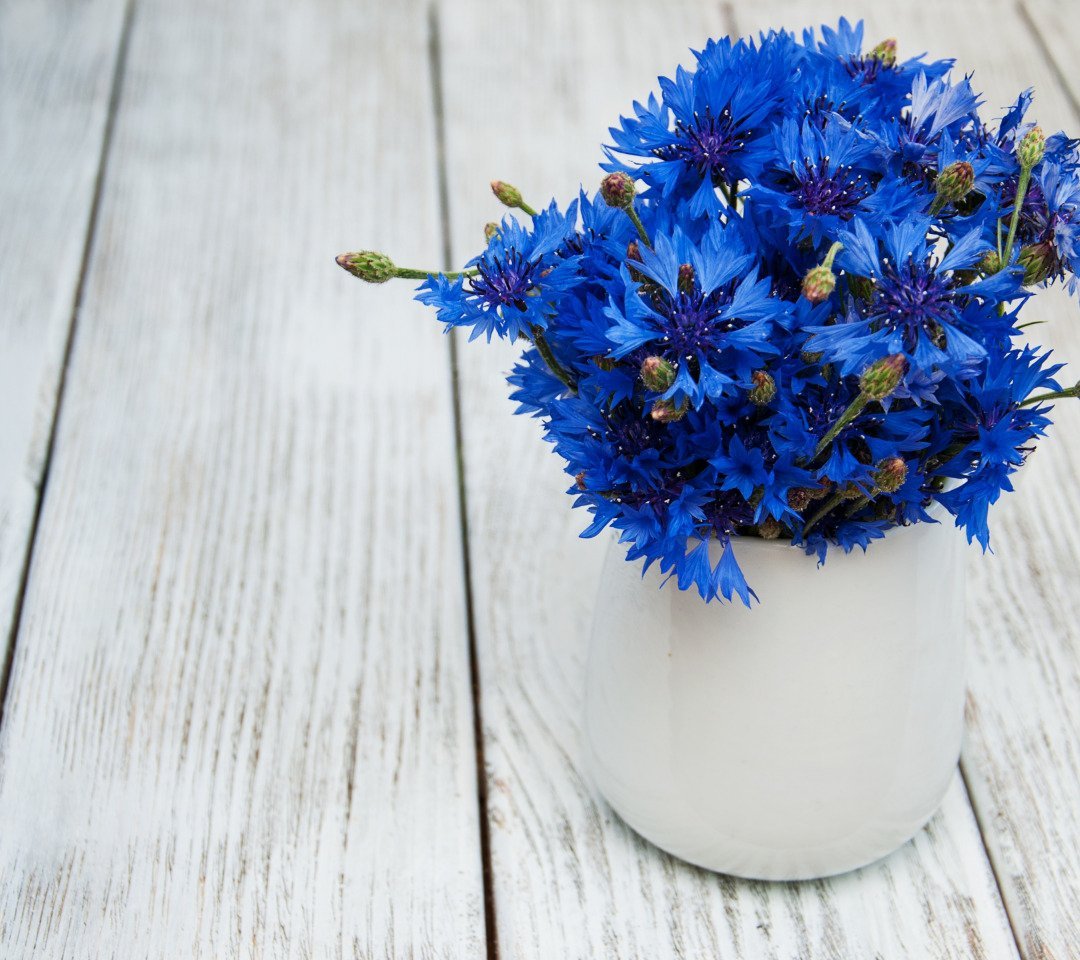 Лето васильки