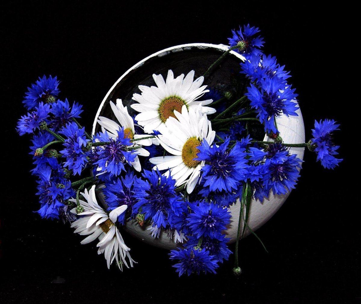 Букет с васильками