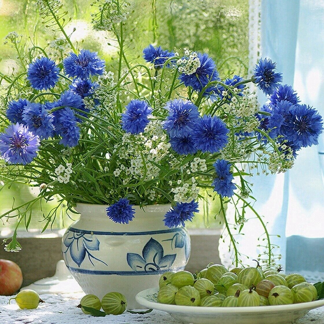 Букет из Васильков и маков